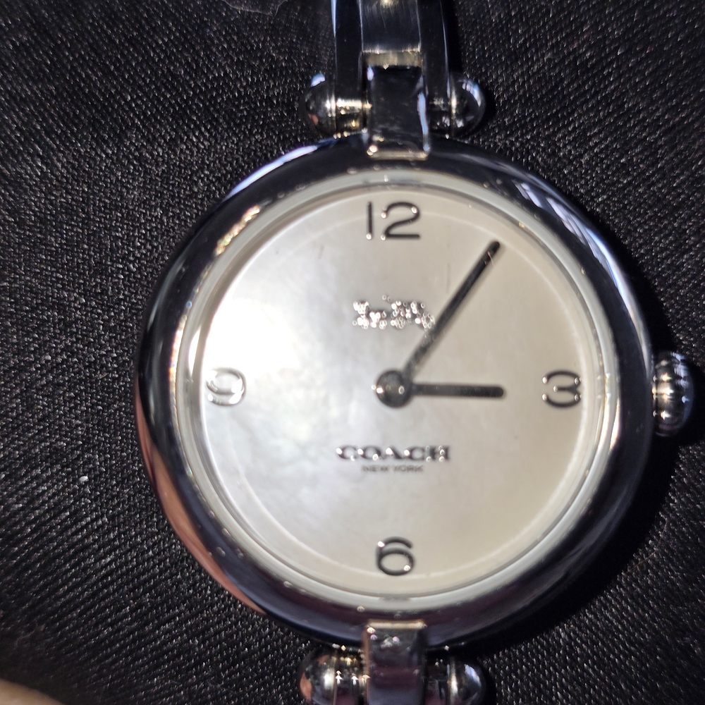 Coach Cary White Pear Watch